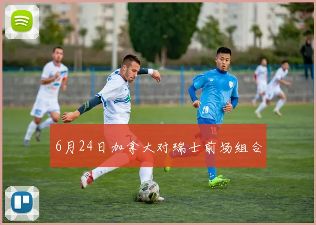 6月24日加拿大对瑞士前场组合