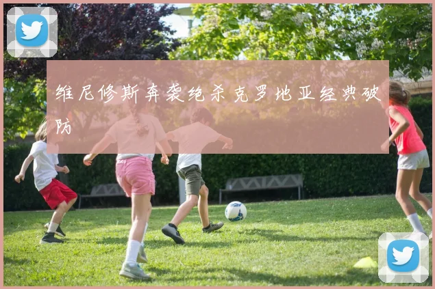 维尼修斯奔袭绝杀克罗地亚经典破防