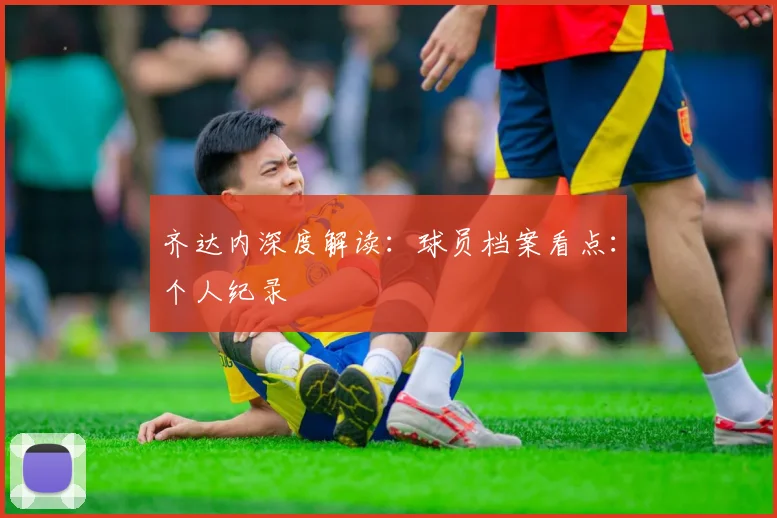 齐达内深度解读：球员档案看点：个人纪录