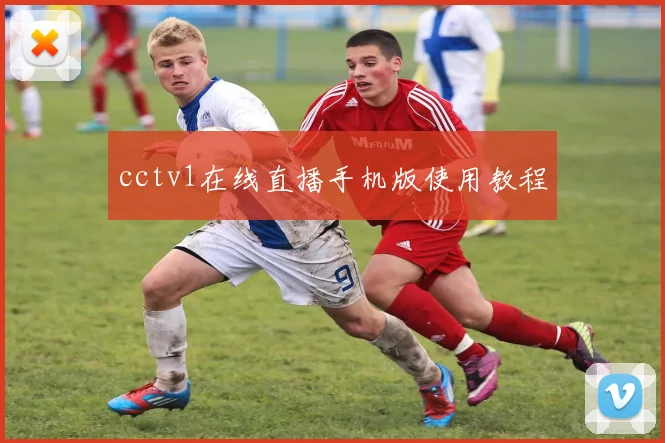 cctv1在线直播手机版使用教程