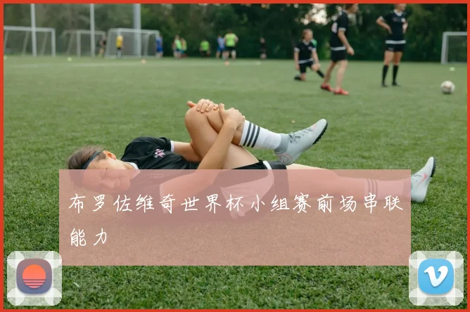 布罗佐维奇世界杯小组赛前场串联能力