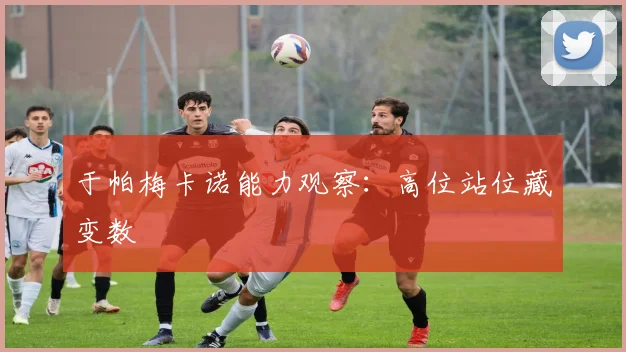 于帕梅卡诺能力观察：高位站位藏变数