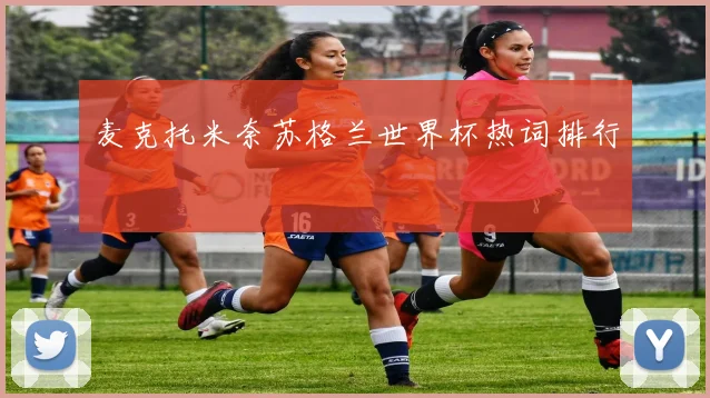 麦克托米奈苏格兰世界杯热词排行