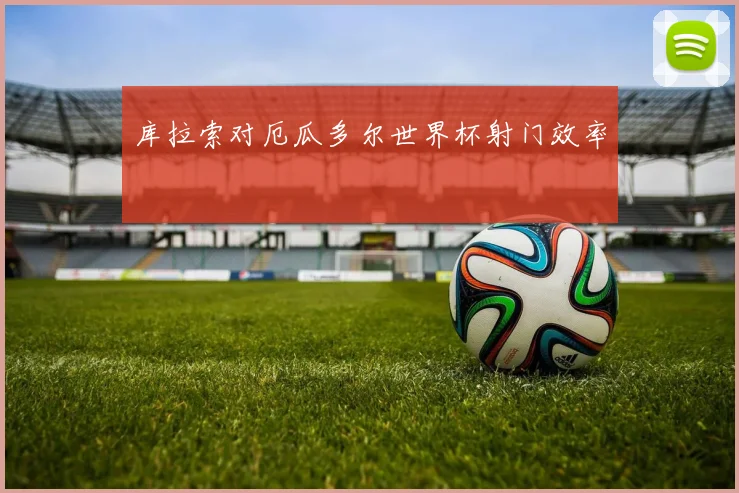 库拉索对厄瓜多尔世界杯射门效率