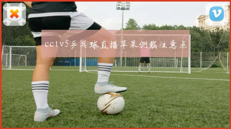 cctv5乒乓球直播苹果侧载注意点
