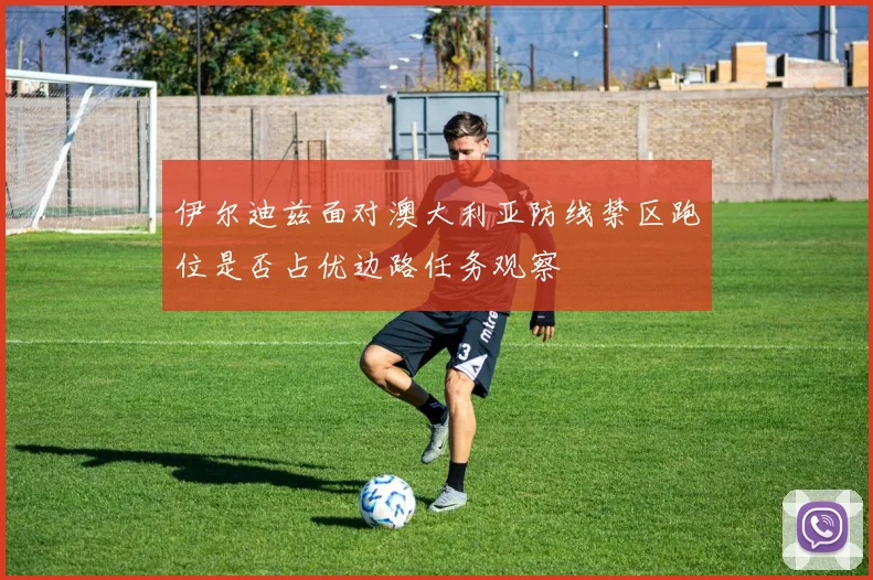 伊尔迪兹面对澳大利亚防线禁区跑位是否占优边路任务观察