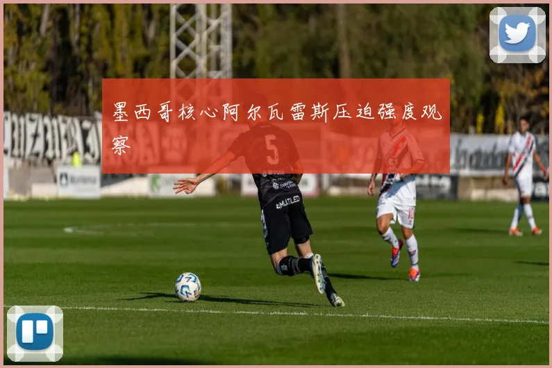 墨西哥核心阿尔瓦雷斯压迫强度观察