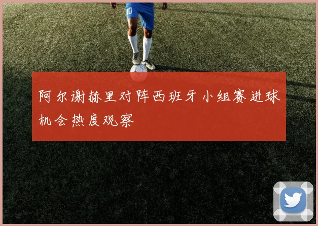 阿尔谢赫里对阵西班牙小组赛进球机会热度观察