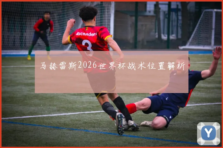马赫雷斯2026世界杯战术位置解析