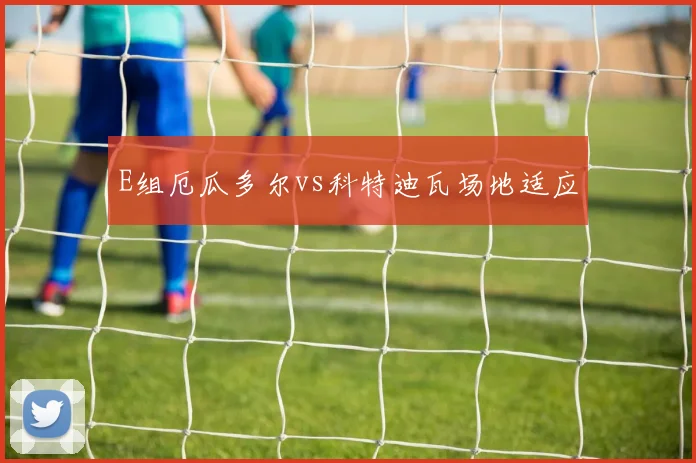E组厄瓜多尔vs科特迪瓦场地适应